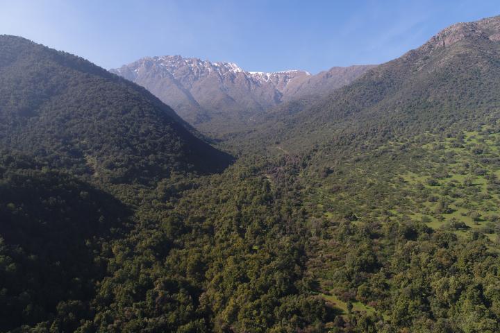 Imagen del monumento Torcazas de Pirque