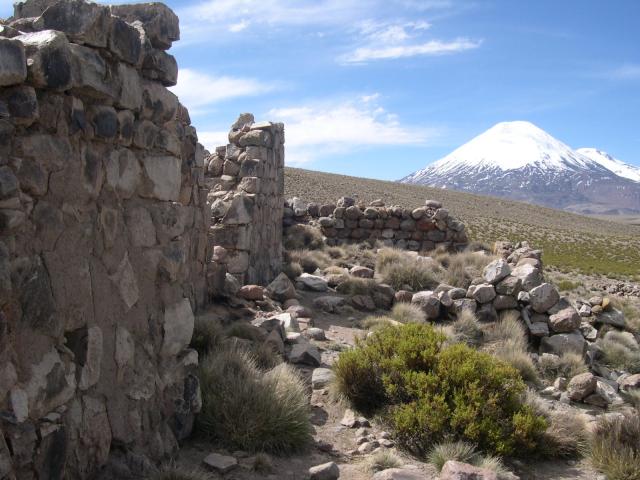 Imagen del monumento Tambo de Chungará