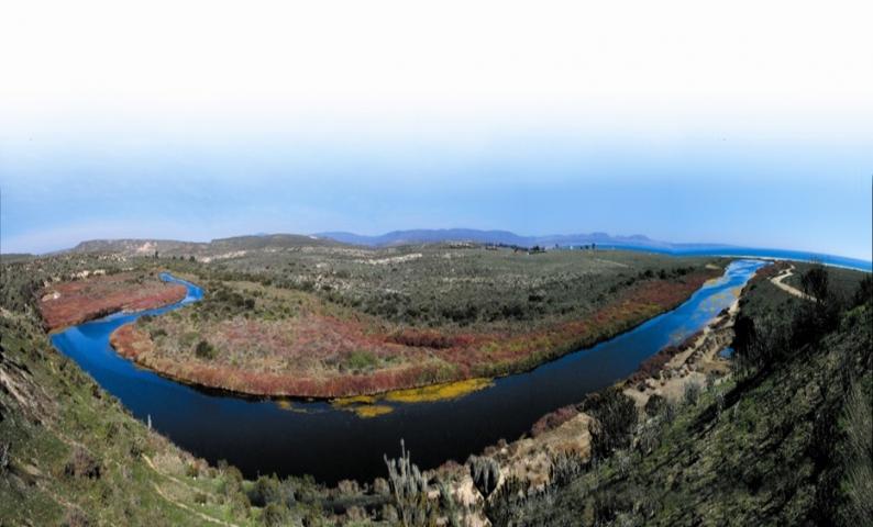 Imagen Humedales de Tongoy