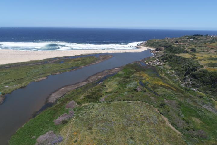 Imagen del monumento Humedal de Tunquén