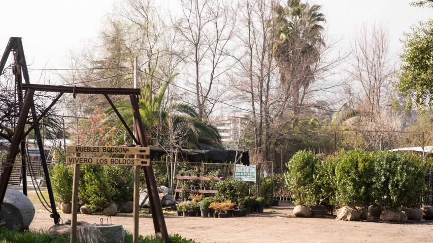 Imagen del monumento Cerro San Benito de los Piques