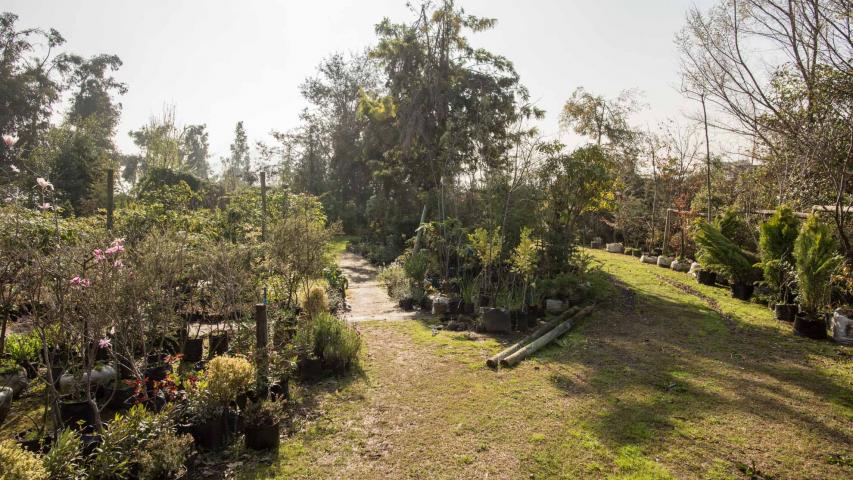 Imagen del monumento Cerro San Benito de los Piques