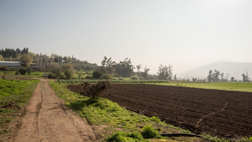 Imagen del monumento Cerro San Benito de los Piques