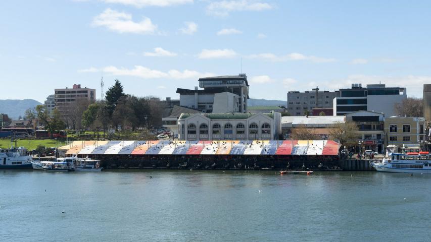 Imagen del monumento Feria fluvial de Valdivia y su entorno