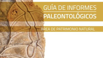 Imagen de Guía de Informes Paleontológicos