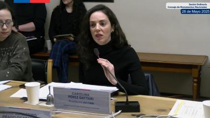 Imagen de Presidenta del CMN destaca ágil catastro de la institución en zonas afectadas en Puerto Varas y avances legislativos de la nueva ley en sesión del 28 de mayo 