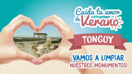 Imagen de Limpieza de sector Salinas chica - Tongoy