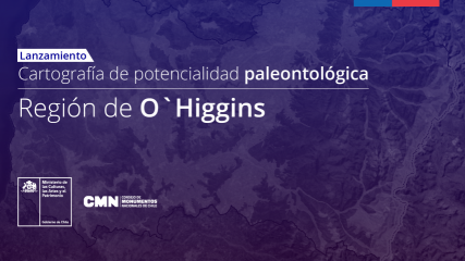 Imagen de Cartografía de potencialidad paleontológica - O´Higgins