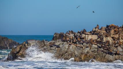 Iglesia de La Viñita Consejo de Monumentos Nacionales de Chile