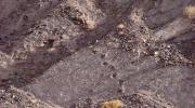 Imagen de Cartografía describe presencia de fósiles con más de 10 millones de años en Arica