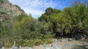 Imagen de Se oficializa la creación del Santuario de la Naturaleza Quebrada Llau llau.