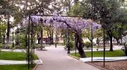 Imagen del monumento Plaza de Armas de Curicó con todos los edificios que la circundan