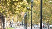 Imagen del monumento Parque Forestal y entorno que señala