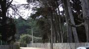 Imagen del monumento Sector costero de Isla Negra