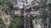 Imagen de Para celebrar el Día de la Niñez, cuatro Santuarios de la Naturaleza de la Región Metropolitana abrirán gratuitamente y con previa inscripción