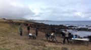 Imagen de Con “Umu Hatu”,  partieron obras para proteger el  complejo ceremonial Tahai en Rapa Nui