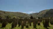 Imagen de Se declara Santuario de la Naturaleza El Natri en la Región del Biobío